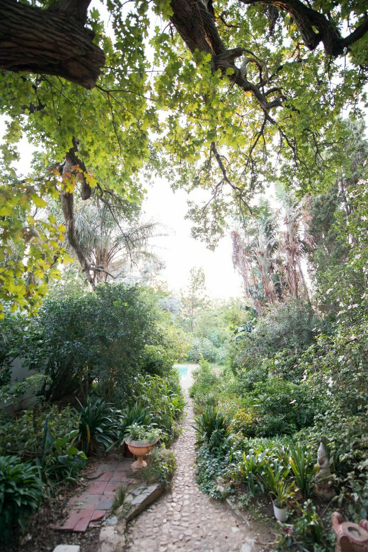 Tulbagh Country Guest House - Cape Dutch Quarters Esterno foto
